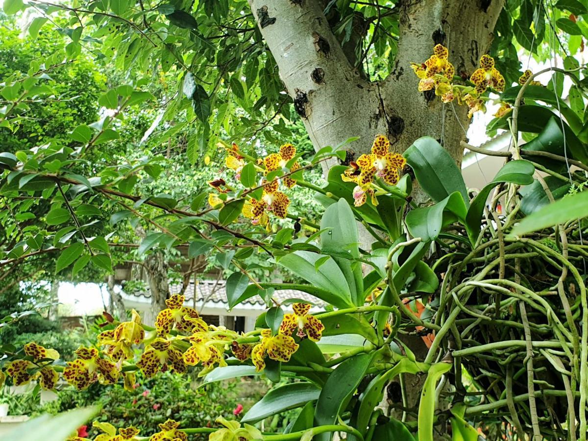 דה לאט Villa Dieu Thong - Secrect Garden, View San May Va Nui מראה חיצוני תמונה
